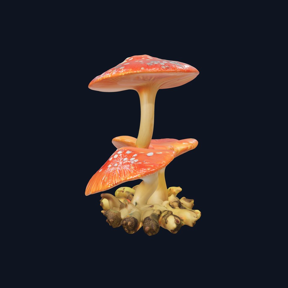 Orange Mushroom Model Pack with Detailed Textures